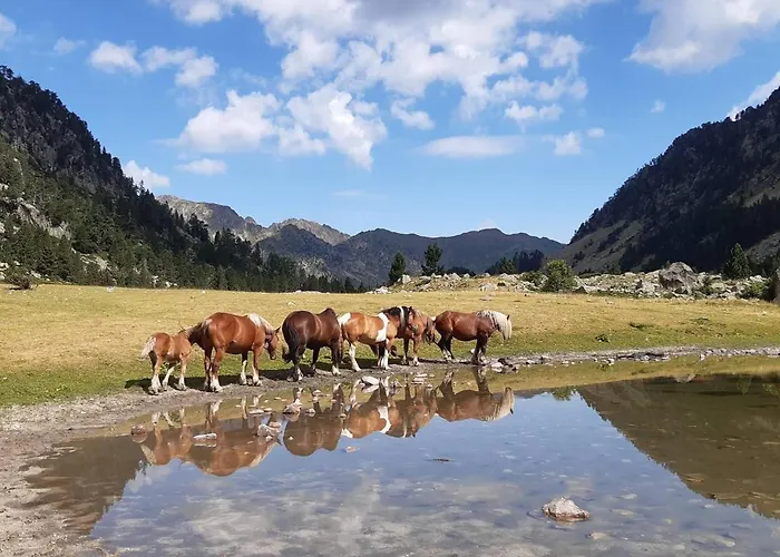 T1bis A Avec Parking Pour 4 Personnes - Fr-1-234-242 *