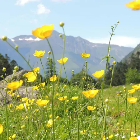 T1bis A Avec Parking Pour 4 Personnes - Fr-1-234-242 Cauterets