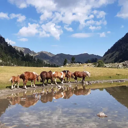 T1bis A Avec Parking Pour 4 Personnes - Fr-1-234-242 *